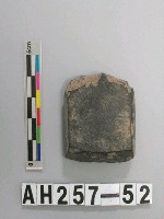 藏品(有段石錛)的圖片